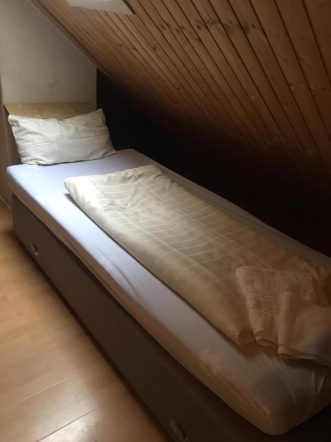 Zimmer Im Dachgeschoss Кайзерслаутерн Екстер'єр фото